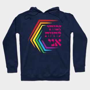 Hebrew: I Have the Right to Be ME - Jewish LGBTQ Pride Hoodie